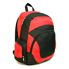 Striker Backpack 