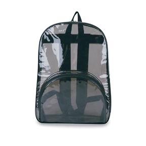 Translucent / Clear Backpack